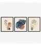 Monstera 3'lü Tablo Seti