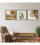 3'lü Modern Boho Doğa Tablo Seti