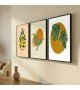 3'lü Botanik ve Soyut Kuş İllüstrasyon Tablo Seti