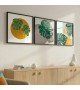 Bohem Esintili Monstera ve Kadın Figürlü 3 Parçalı Çerçeveli Tablo Seti
